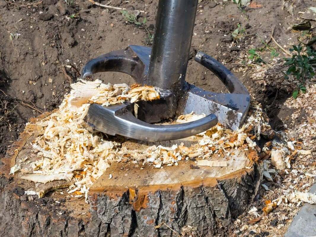 stump with drill